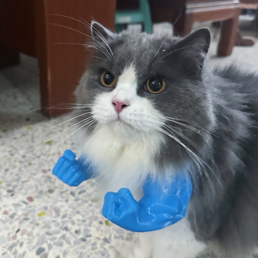 Role Play 3D Printed Cat Fist  - đánh giá và giá 3D Printing Nylon