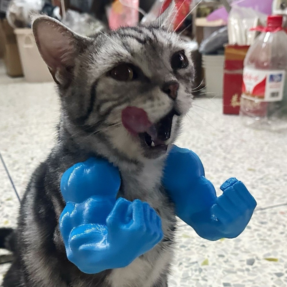 Role Play 3D Printed Cat Fist  - đánh giá và giá 3D Printing Nylon
